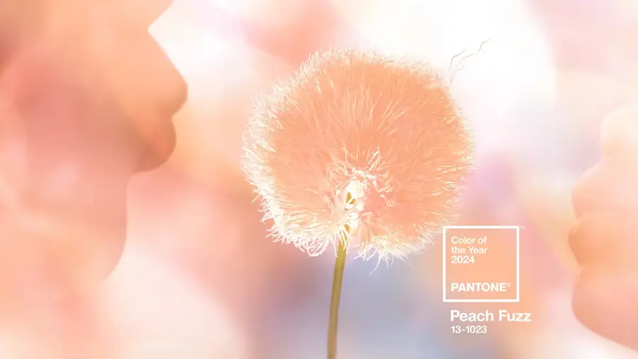 Cập Nhật Tủ Đồ Năm Mới với Peach Fuzz - Màu Sắc Độc Đáo Cho Năm 2024
